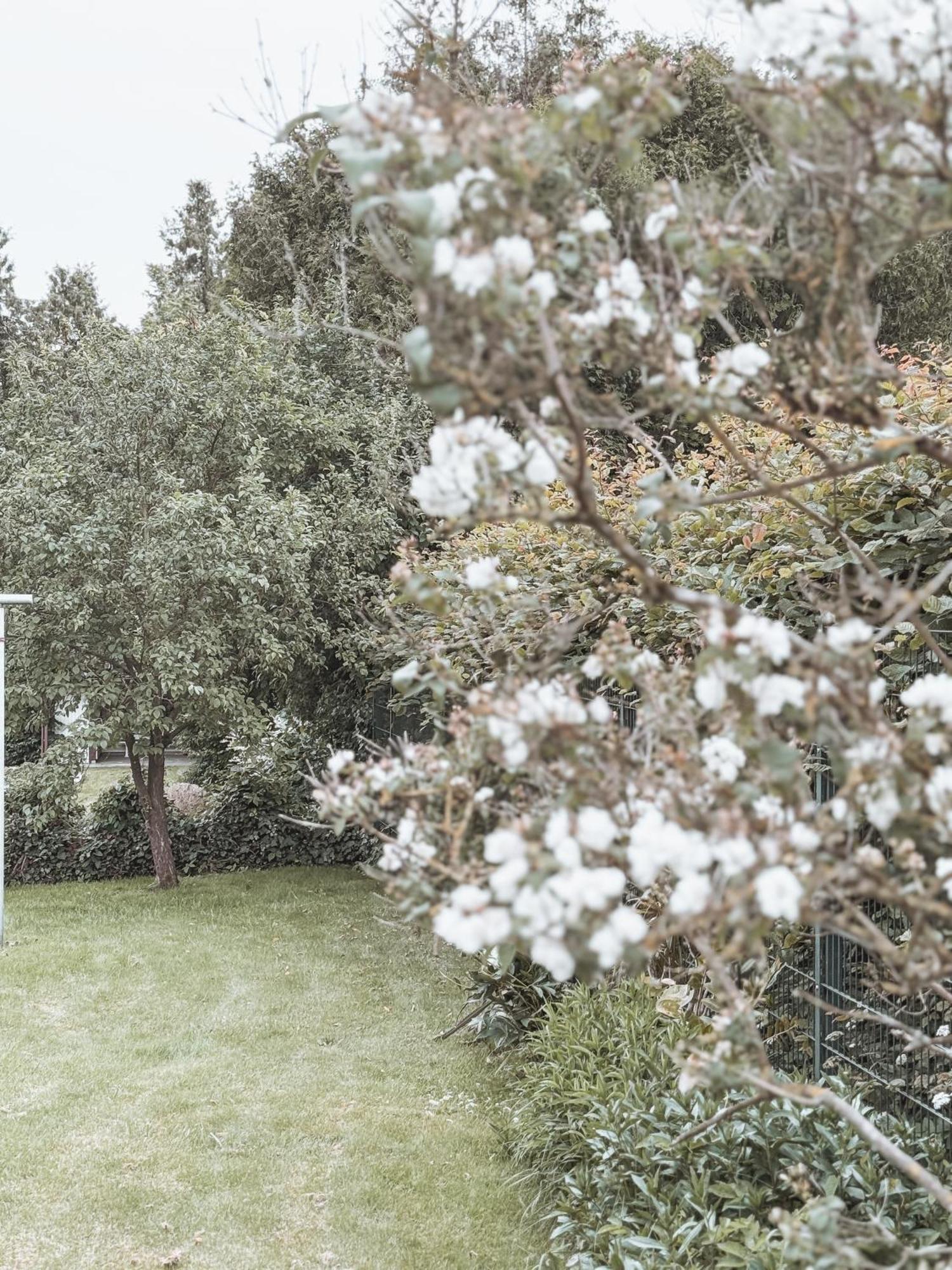 Bohemian Suite - Detmold Exterior foto